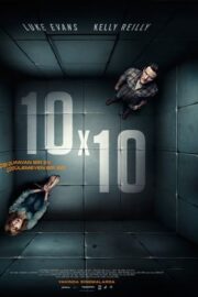 10 x 10