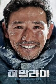 Himalayalar