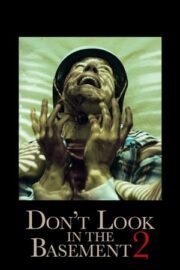 Don’t Look in the Basement 2