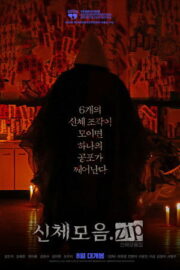 신체모음.zip