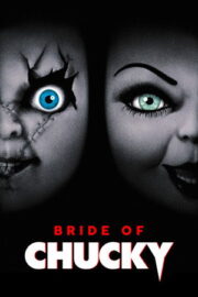 Chucky’nin Gelini